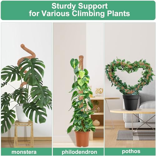 3 Pack Moss Pole, 50 Inch Monstera Plant Support, Tall Moss Poles for Climbing Plants Indoor DIY, Coco Coir Plant Pole Moss Plant Stick Support Stake Kit for Potted Plants, Pothos, Philodendron - size: 50 in (3 Pack)