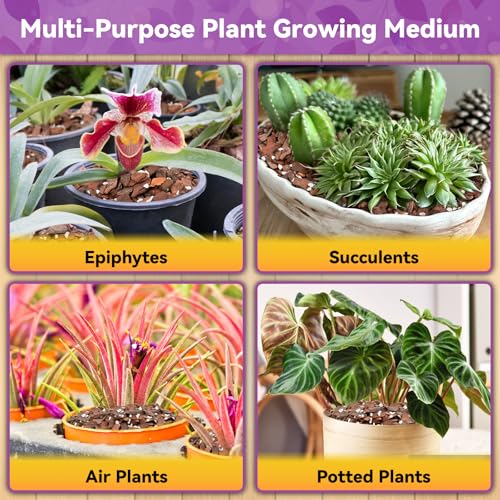 Riare 6QT Orchid Potting Mix, Natural Orchid Bark Potting Mix Soil Medium with Pine Bark and Perlite, Premium Orchid Repotting Kit for Phalaenopsis Dendrobiums, Enhanced Drainage & Root Expansion