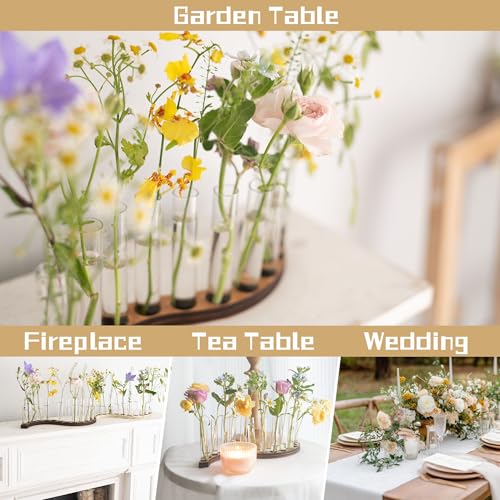 Test Tube Vases for Flowers,Small Plant Propagation Station,S Shape Plant Terrarium with Wooden Stand(Amber) - color: Amber