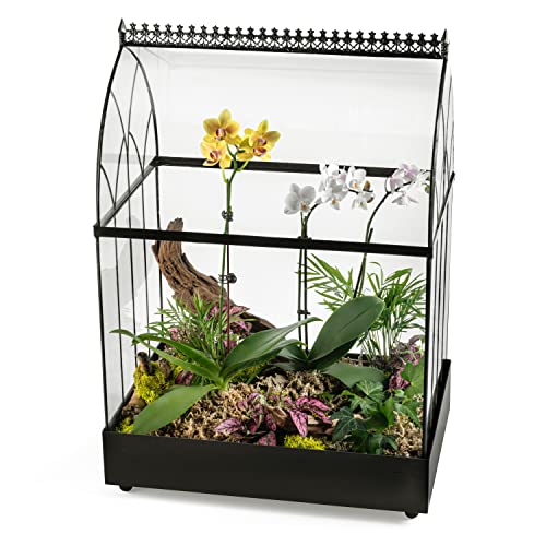 H Potter Extra Large Glass Terrarium Wardian Case, 22.6 Inch Tall | Curved Glass, Indoor Tabletop Planter, Metal Base, For Orchids Ferns and Tropical Plants