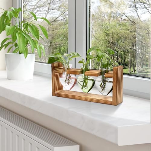 Plant Terrarium Propagation Stations Hydroponics - color: Color 2