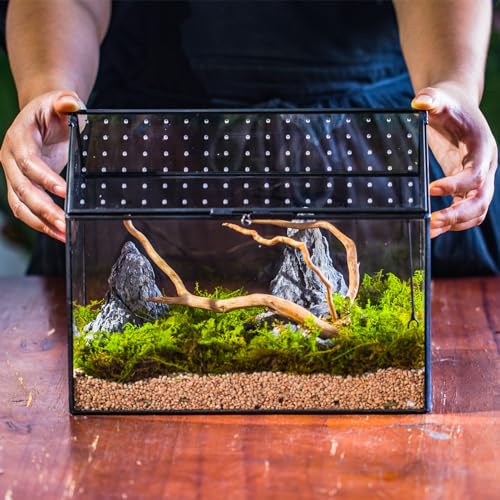 NCYP Glass Terrarium - Mini House Shape Terrarium with Lid, and House Shape Terrarium with Acrylic Lid, for Small Succulent Cacti, Ferns, Home Garden Decor
