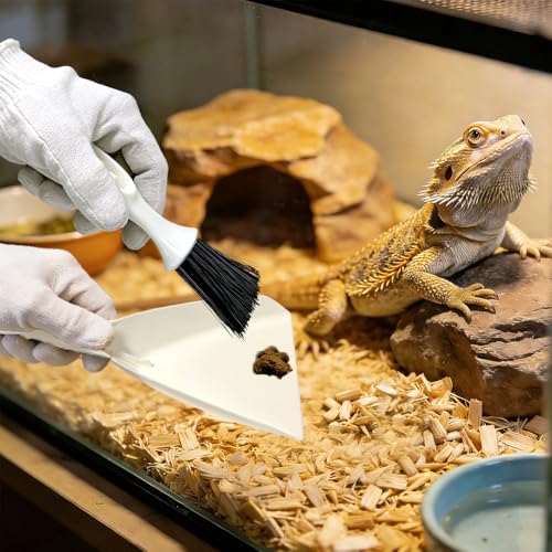 Bearded Dragon Tank Cleaning Kit – Reptile Enclosure Tool Set