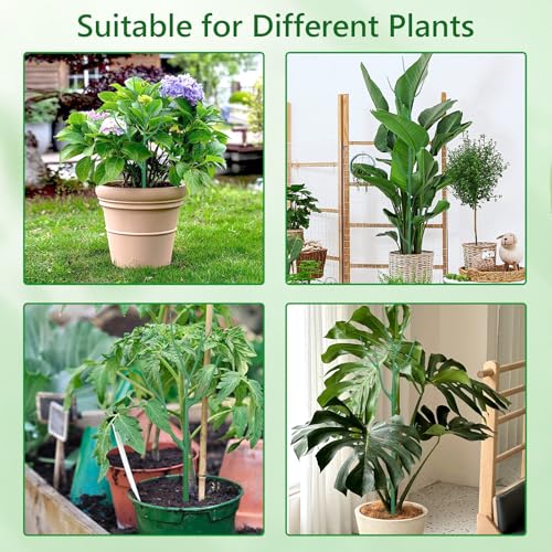10-Pack Stackable Plant Stakes for Monstera, Pothos & Climbing Plants | 14.57-Inch Tall Branch-Style Plant Support - Reusable Plastic Stake Helps Plants Grow Upright Indoors & Outdoors - size: 10 Pack
