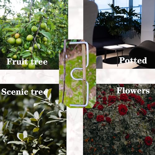 15 Pcs Fruit Tree Branch Puller Fruit Tree Branch Support Tree Branch Puller Spreader Fruit Tree Limb Spreaders Plant Tying Machine Farm Tools for Tree Open Angle Pull & Shaping Seedlings M-3.94IN