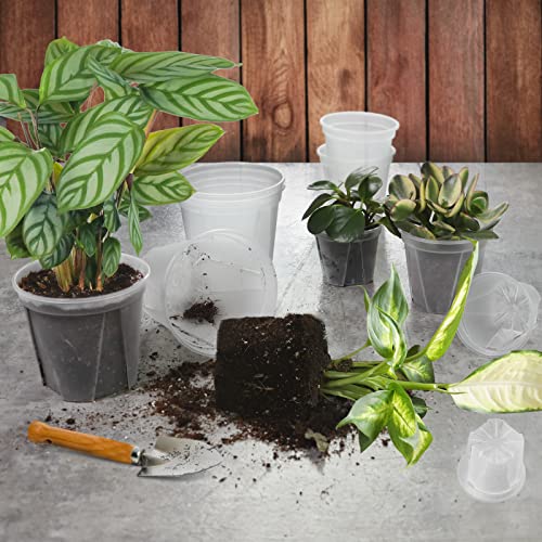 GREENPARA 12 Pack Clear Nursery Pots 4/5/6 Inch Planter with Drainage Holes