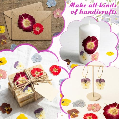 96 Pcs Pressed Edible Flowers, Colorful, Flower Style | Natural Dried Flowers for Cake Topper Cupcake, Cocktails Garnish, Resin Jewelry DIY, Soap, Candle Making Art Crafts - color: Colorful, style: Flower Style