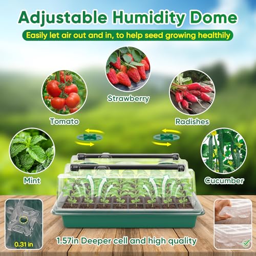 BlumWay Seed Starter Tray with Grow Light, 1-24H Timer, 2 Pack 80 Cells