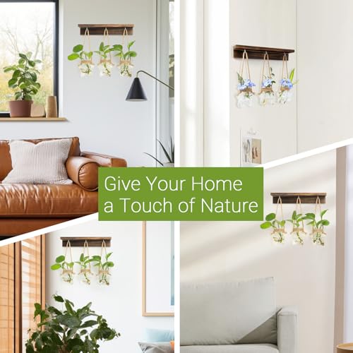 XXXFLOWER Plant Terrarium with Wooden Stand- 3 Bulb Vase+ Wall Hanging Propagation Station with 3 Star-Shaped Glass Vase
