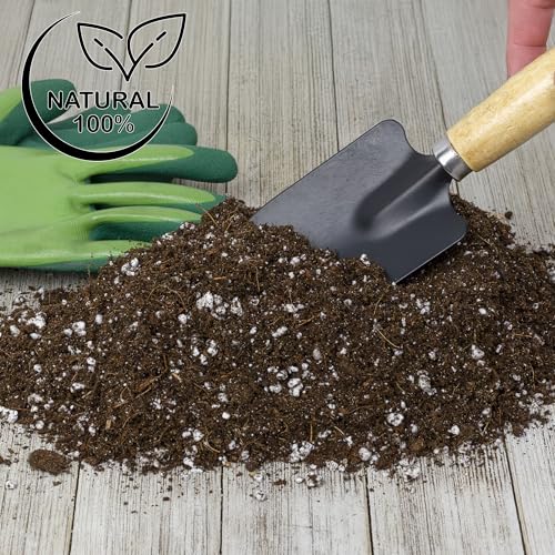 Soil Sunrise Desert Rose Potting Soil Mix (8 Quarts) Hand Blended Small Batch Soil Blend for Desert Rose Plant