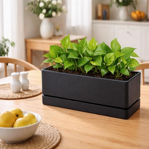 D'vine Dev 2-Pack Rectangular Planters, 12 x 4.5 in, Black, 76-X-B-2 - color: Black