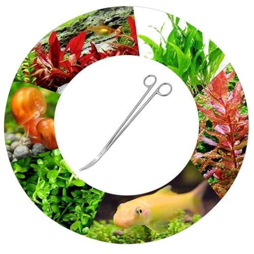 Aquarium Scissors, 13.8"