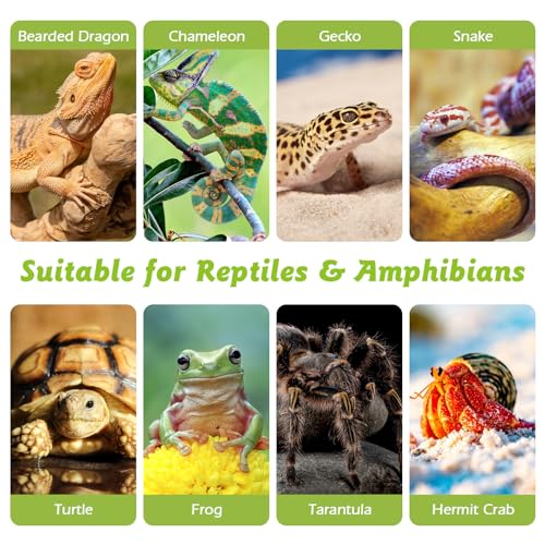 Reptile Cork Bark Bulk 1.5 Lb Cork Wood for Terrarium, Natural Flat Cork Bedding Terrarium Substrate for Bearded Dragon Snake Spiders Hermit Crabs Geckos Tortoise