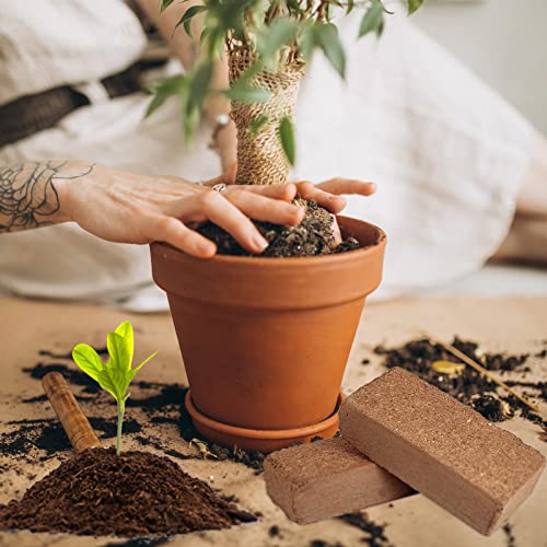 ZeeDix 8 Pcs Coco Coir Brick for Plants, 100% Organic Coconut Coir Bricks - size: 8pcs