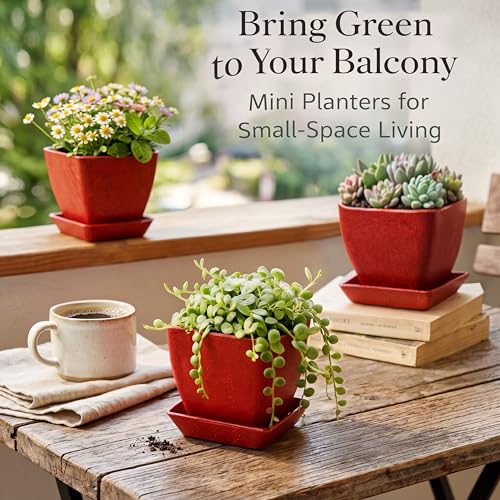 Small Plant Pots w/Drainage Holes for Mini Herb & Succulent Planter - color: Red