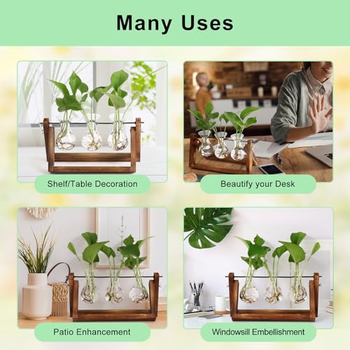 YIBOT Propagation Stations,Plant Terrarium with Wooden Stand-3 Glass Vases - size: 3Vase-B