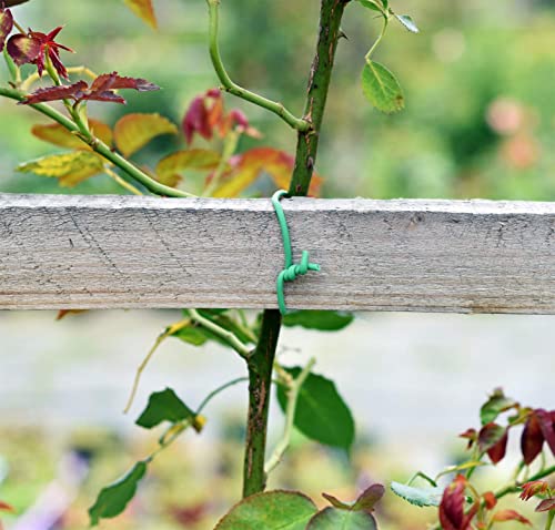 PGarden-EZ Green Soft Twist Tie Plant Tie Flexible TPR Garden Supply, for Tomatoes Roses Vines Organizing(16.4 feet/ 5 Meters)…, 16 feet - size: 16.4 feet/ 5 Meters