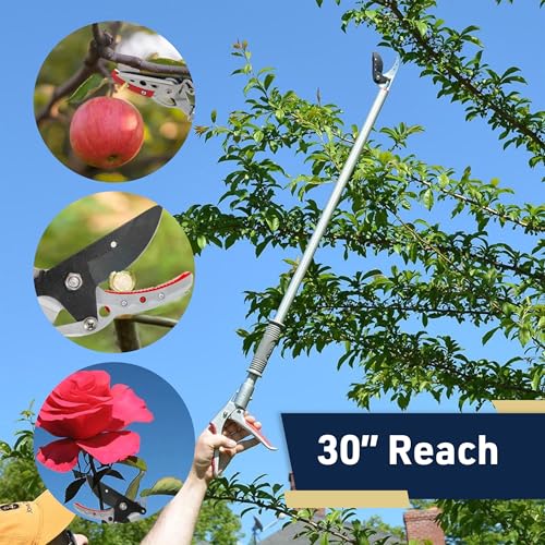 Kings County Tools Bypass Pruning Shears for Gardening, Rotating Head, 30”
