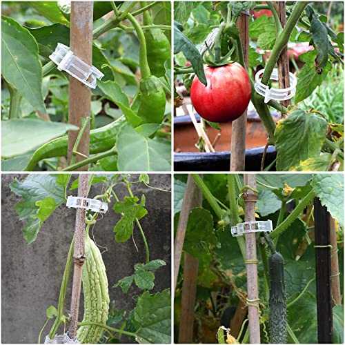 200 Pcs Plastic Trellis Plant Support Clips for Support, Grape and Tomato Vine, Vegetables Plants, Garden Clips to Grow Upright Makes Plants Healthier - size: 200 Pcs