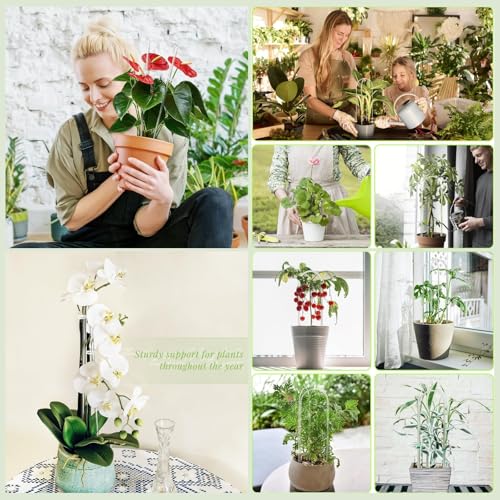 Lancisism 12 Pack Acrylic Plant Trellis for Indoor Climbing Plants, Thickened Clear U-Shaped & Round Small Plant Trellis, Potted Plant Climber Support for Hoya, Pothos, Vine Ivy, Monstera Houseplant