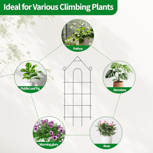 32" Plant Trellis, 6 Pack Metal Garden Trellis for Potted Plants Indoor/Outdoor, Rust-Proof Sturdy Steel Trellis for Climbing Plants, Monstera, Tomatoes, Cucumbers - size: 6Pack -32 inch house shape