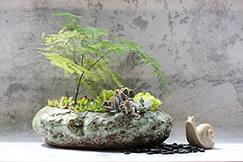 Cotta Planters Large Shallow Ceramic Bonsai Pot, Succulent Bowl Ceramic with Decorative Copper Patina Glaze, Kitchen, Living Room, and Home Decor - size: Shallow large
