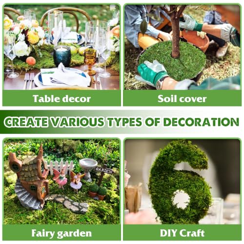 DUSPRO 2Pcs 10x7 Inches Sheet Moss for Potted Plants - color: 10" X 7"