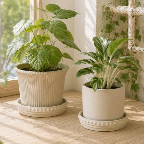 Plant Saucers, Plant Trays to Catch Water, 2 Pcs 8" Ceramic Saucer | Flower Pot Saucers fit pots up to 7", hand-painted antique beige ceramic, catches excess water to protect floors - color: Beige White