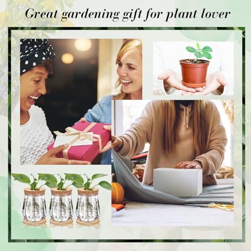 12 Pack Glass Propagation Vases with Bamboo Stand,Diamond Style | Hydroponic Planter Jars with Cork Lids for Plant Cuttings, Desktop Decor, Clear Design for Pothos Propagating Station
