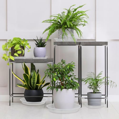 Plant Saucers 3 4 5 6 7 8 9 10 11 12 14 Inch, 5 Pack Clear Plastic Plant Trays for Pots, Durable Plant Water Catcher Tray for Indoors Outdoors (7", Clear) - size: 7 INCH
