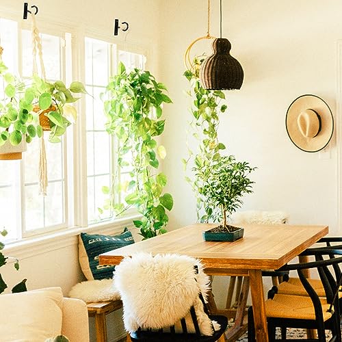 6Pack 2.5In Ceiling Hooks for Hanging Plant, Wall Hanger Plant Holder Black - size: 2.5Inch 6Pack-Black
