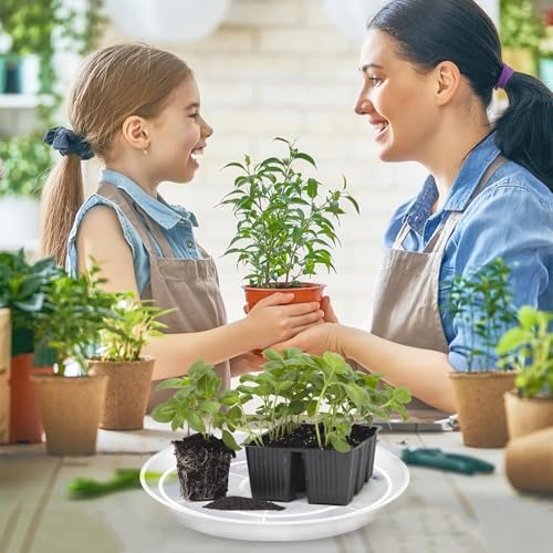 OUPSAUI 3 4 6 8 10 12 14 Inch Plant Saucer Pot Tray, 6 Pack Clear Plant Saucers for Indoors and Outdoors, Large Plastic Dish Suacer Water Drip Tray for Potted Plants Flowers (3 Inches) - size: 3 Inches