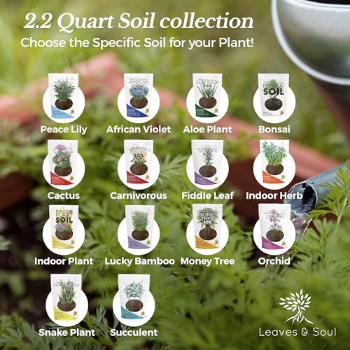 Leaves & Soul Bonsai Soil Mix Ready to Use 8.2 Qt Potting Soil for Bonsai - color: Bonsai Soil Blend, size: 8.2 Quarts