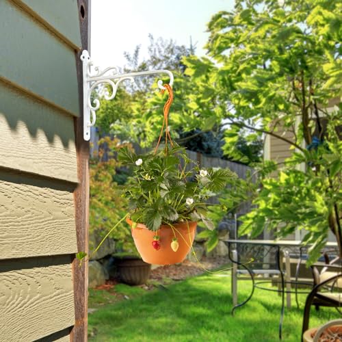Sungmor Cast Iron Wall Hook Plant Hangers - 2PC White - color: White - 2pcs & 11.4 inch