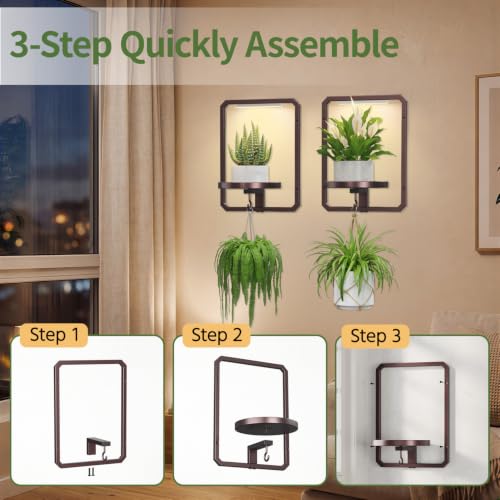 LASZOLA Plant Picture Frame Holder Shelf Wall with Lights, 2 Pcs Brown - color: Brown with Light, size: 2