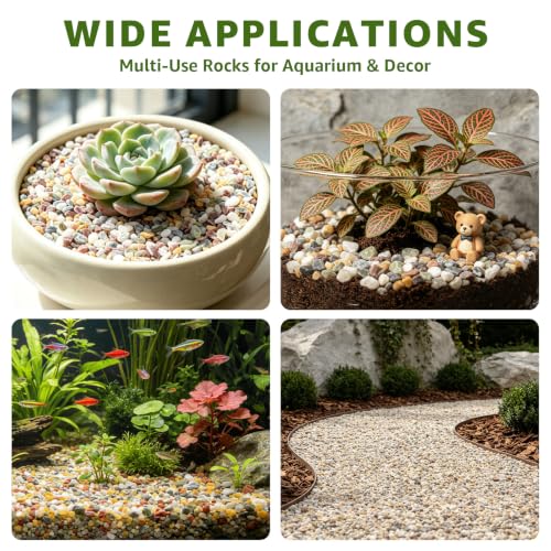2 lbs Nature Gravel Pebbles, 1/5 Inch Succulent & Cactus Pea Gravel (Mixed) - color: Mixed, size: 2 Pounds