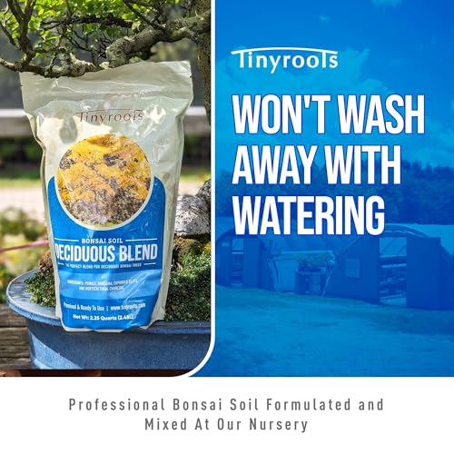 Deciduous Blend Bonsai Soil - Tinyroots Organic Bonsai Dirt Formulated for Japanese Maple, Hornbean, Elm and Other Deciduous Bonsai Trees, 4 Quarts - size: 4 Quarts