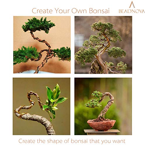 BEADNOVA Bonsai Tree Wire 98 Feet Copper Aluminum Bonsai Tree Training Wire for Indoor and Outdoor Plant (Copper, 1mm, 30m) - color: 1mm