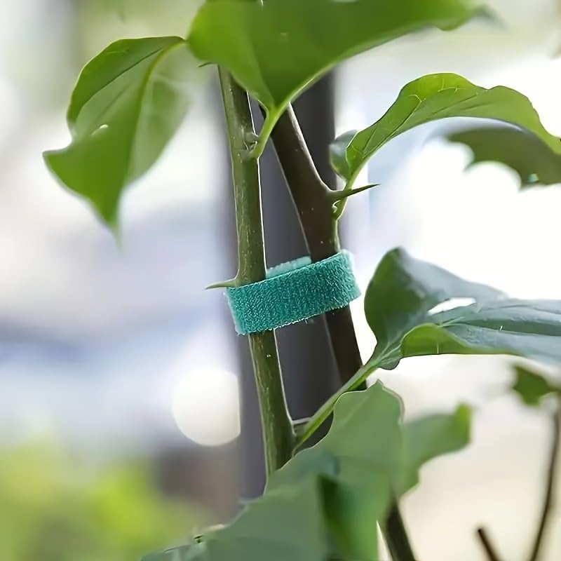 590.55 Inches / 3 Rolls Reusable Plant Ties - Green Flexible Support Straps for Vines, Flowers and Garden Plants - Ideal for Indoor and Outdoor Use, The Top Choice for Gardening Enthusiasts