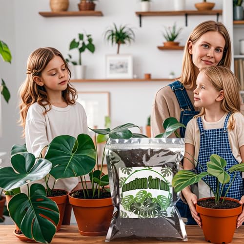 Doter Monstera Potting Soil 2qt - Premium Tropical Blend with Rapid Drainage for Growing and Repotting Monstera Deliciosa (Split-Leaf Philodendron) and Swiss Cheese Plants - size: 2qt