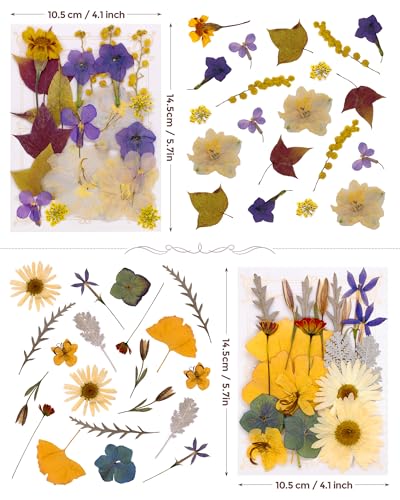Real Dried Pressed Flowers for Resin Molds, Natural Bulk Floral Leaves