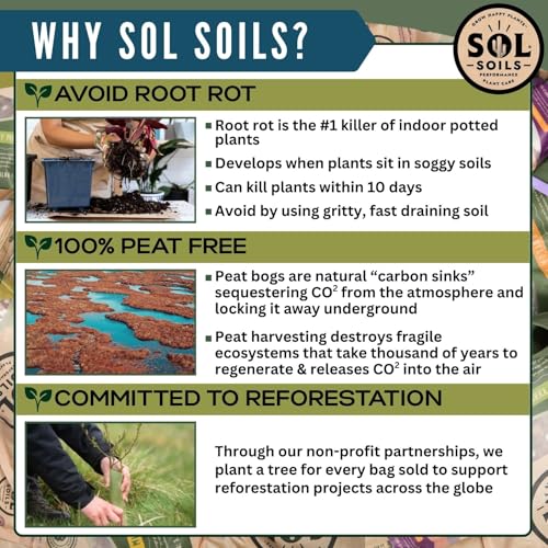 LECA Balls - Lightweight & 100% Natural Hydroponic Clay Pebbles for Plants - Soil Amendments to Improve Drainage, Aeration, and Support Healthy Root Growth - 2 Quarts