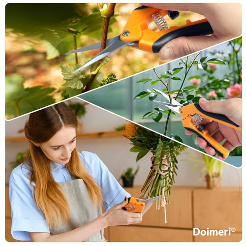 2 Pack Pruning Shears, 6.5” Gardening Scissors with Sharp Stainless Steel Blades and Comfort Grip, Perfect for Fine Pruning, Plants/Bonsai Clipping, Ideal Gift for Plant Lovers