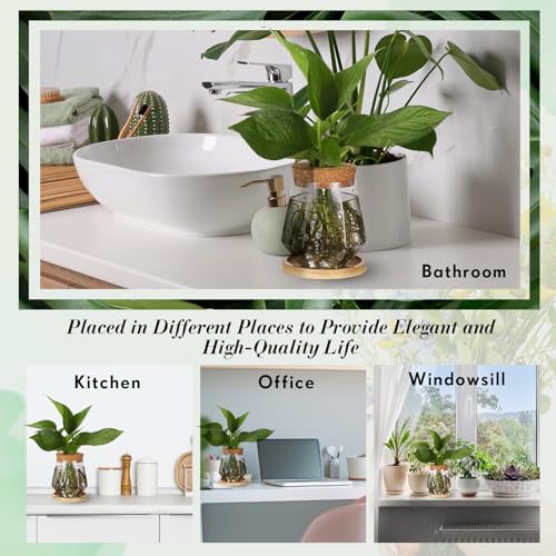 Baderke 12 Packs Propagation Vases for Plants Plastic Plant Propagation with Hole Lid and Bamboo Stand Growing in Water Hydroponic Home Office Desktop Vase Decoration (Cup Style) - style: Cup Style