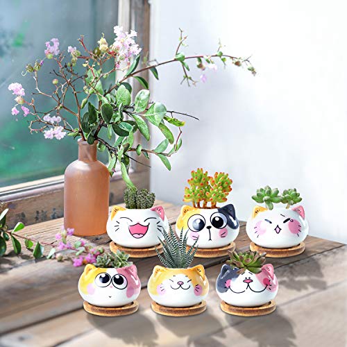3.6Inch Cat Pot for Plant, Cat Planter Succulent Pot with Drainage Set of 6 - color: Sitting Cats 6pcs