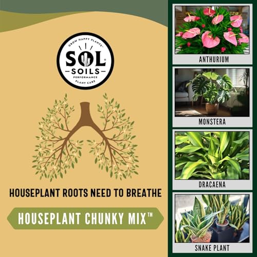 Sol Soils Chunky Houseplant Mix - Fast Draining Soil for Indoor Plants with Coco Coir Chips, Perlite, & Pumice, 2 Quart
