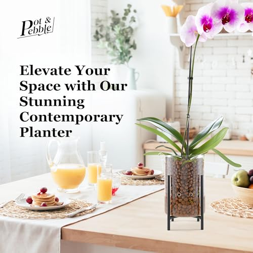 Pot & Pebble C8 Glass Orchid Pot, Metal Base - LECA Semi-Hydro Planter