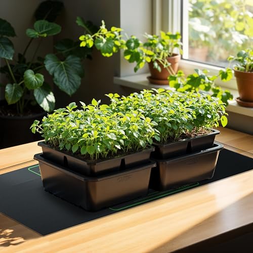 iPower Durable Seedling Heat Mat Warm 48" x 20" - 2 Pack Hydroponic Heating Pad Waterproof for Seed Starting Greenhouse and Germination - size: 48" x 20", style: 2 Pack
