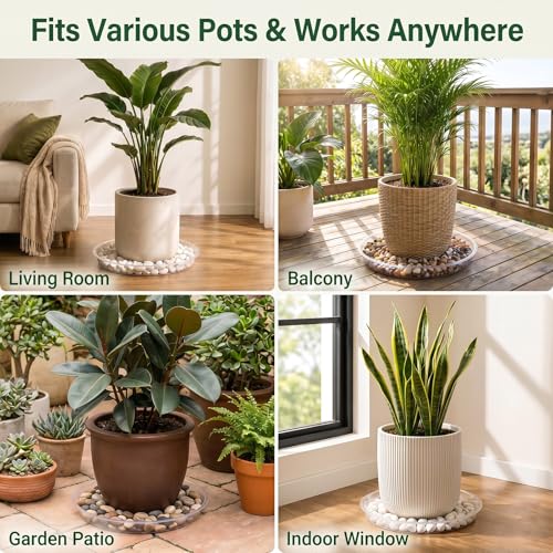 4 Pack 16 17 18 19 20 21 22 in Clear Plastic Plant Saucers for Indoors, Durable Plant Trays for Pots and Plant Water Catcher Tray with No Holes, Reusable Plastic Trays for Plants (19''-4Pack) - size: 19''-4Pack