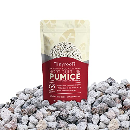 Bonsai Outlet Horticultural Pumice for Plants - Tinyroots 2.25 Quarts Soil Aggregate for Succulents, Cactus and Bonsai Plants - size: 4 quarts